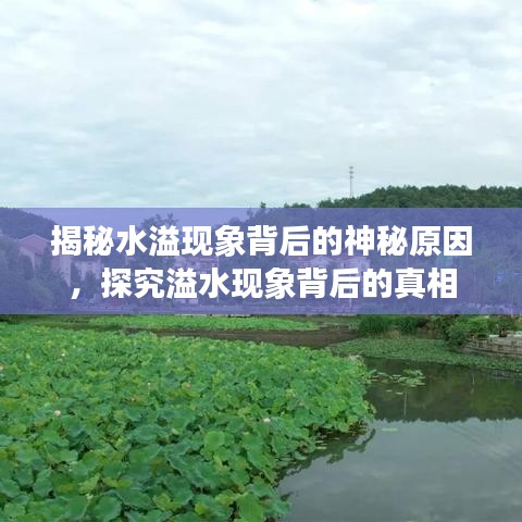 揭秘水溢现象背后的神秘原因，探究溢水现象背后的真相