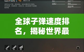 全球子弹速度排名，揭秘世界最快子弹榜单！