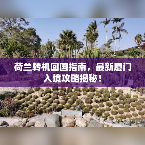 荷兰转机回国指南，最新厦门入境攻略揭秘！