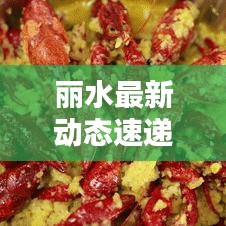 丽水最新动态速递