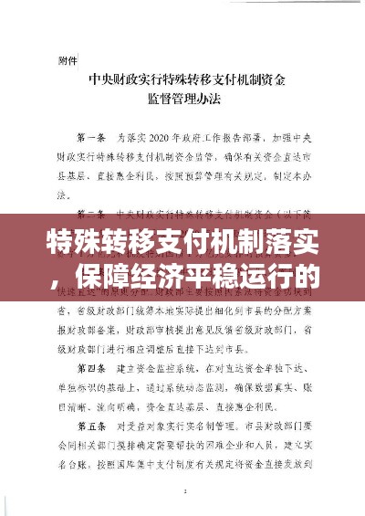 特殊转移支付机制落实，保障经济平稳运行的关键举措