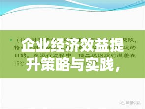 企业经济效益提升策略与实践，实践案例与实效分析