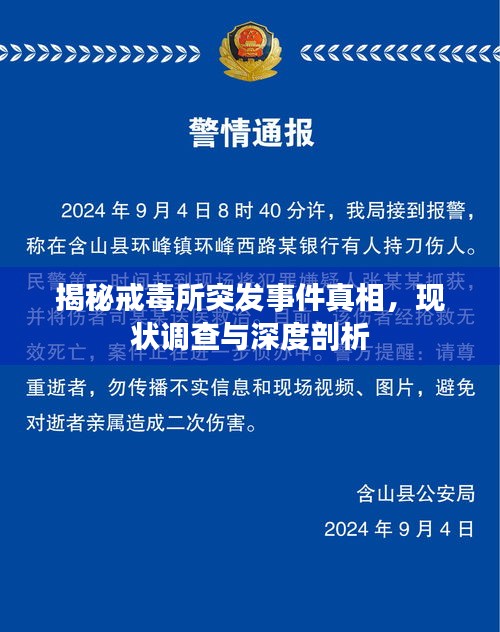 揭秘戒毒所突发事件真相，现状调查与深度剖析