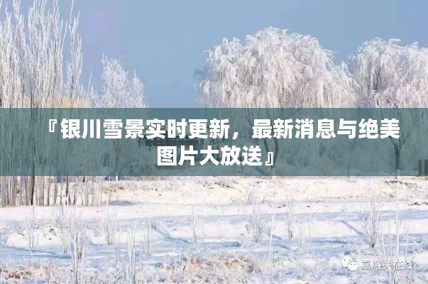 『银川雪景实时更新，最新消息与绝美图片大放送』