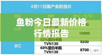 鱼粉今日最新价格行情报告