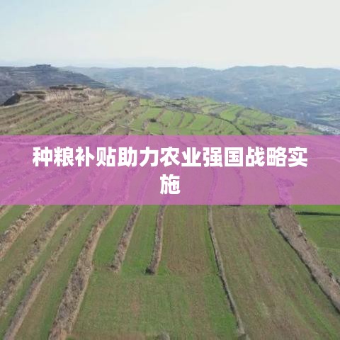 种粮补贴助力农业强国战略实施