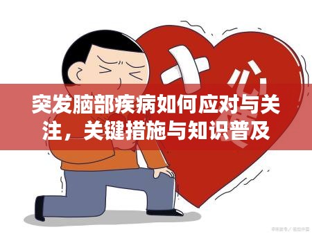 突发脑部疾病如何应对与关注，关键措施与知识普及