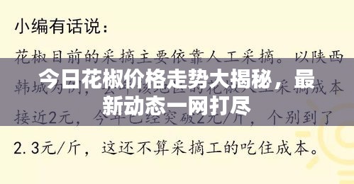 今日花椒价格走势大揭秘，最新动态一网打尽