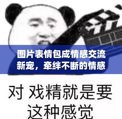 图片表情包成情感交流新宠，牵绊不断的情感纽带