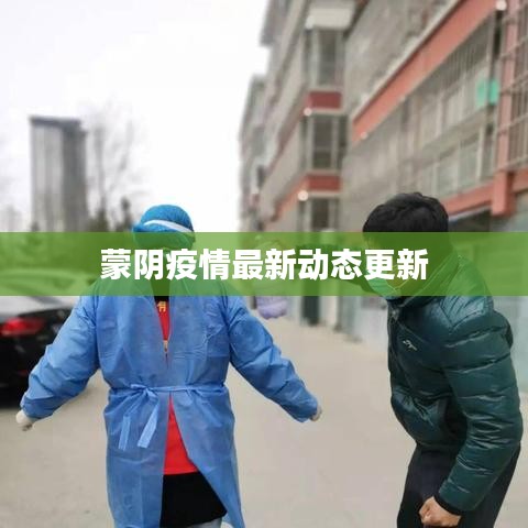 蒙阴疫情最新动态更新