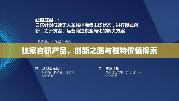 独家自研产品，创新之路与独特价值探索