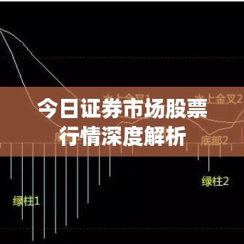 今日证券市场股票行情深度解析