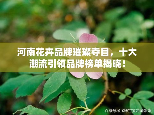 河南花卉品牌璀璨夺目，十大潮流引领品牌榜单揭晓！