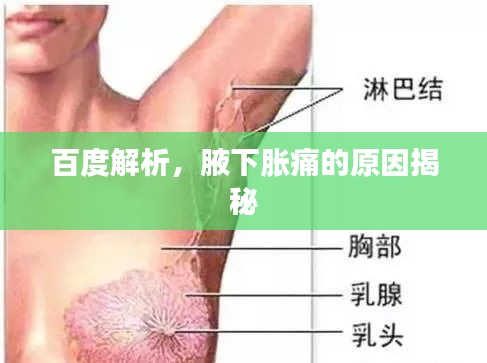 百度解析，腋下胀痛的原因揭秘