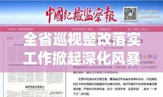 全省巡视整改落实工作掀起深化风暴，成效显著！