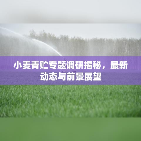 小麦青贮专题调研揭秘，最新动态与前景展望