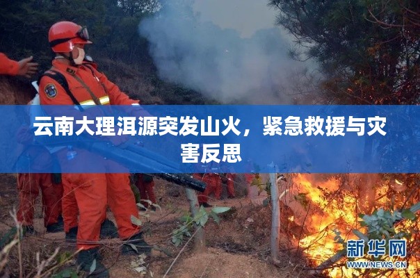 云南大理洱源突发山火，紧急救援与灾害反思