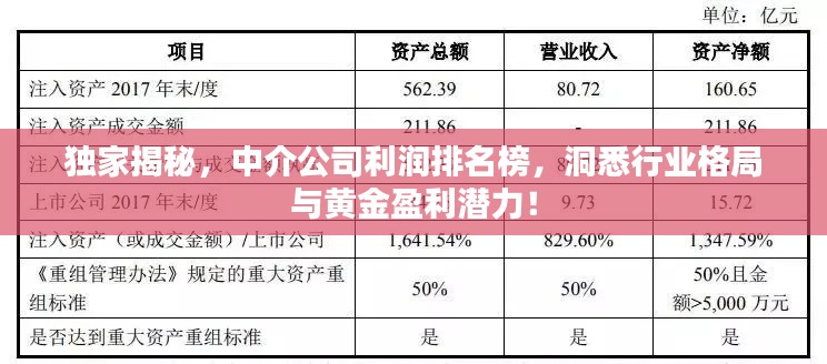 独家揭秘，中介公司利润排名榜，洞悉行业格局与黄金盈利潜力！