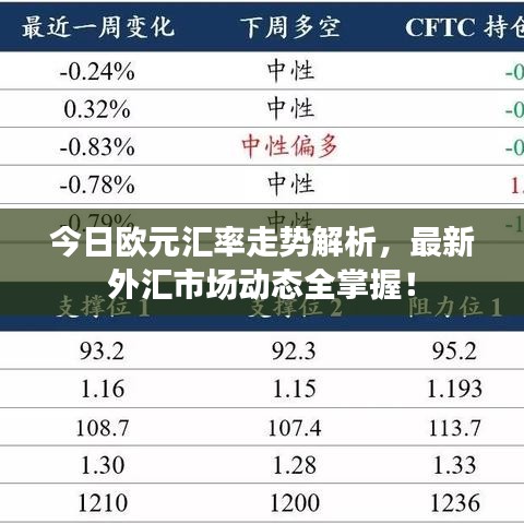 今日欧元汇率走势解析，最新外汇市场动态全掌握！