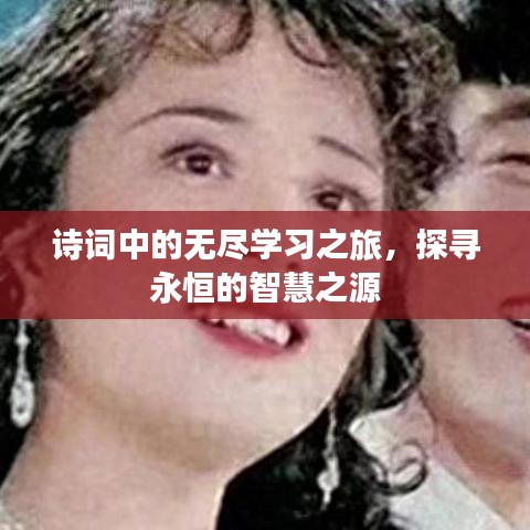 诗词中的无尽学习之旅，探寻永恒的智慧之源