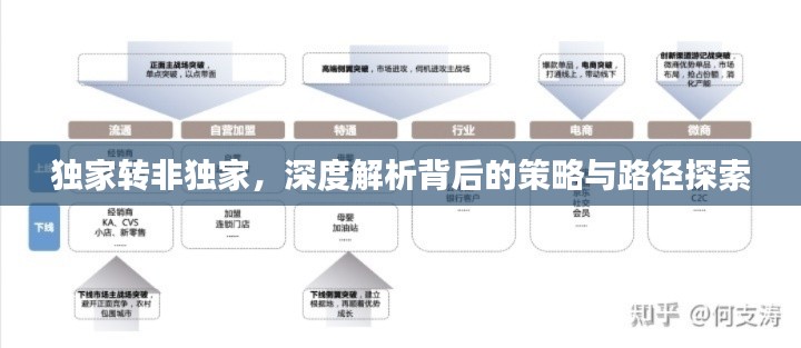 独家转非独家，深度解析背后的策略与路径探索