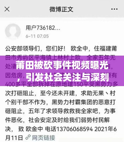 莆田被砍事件视频曝光，引发社会关注与深刻反思