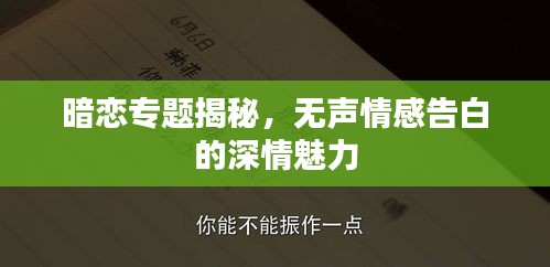 暗恋专题揭秘，无声情感告白的深情魅力