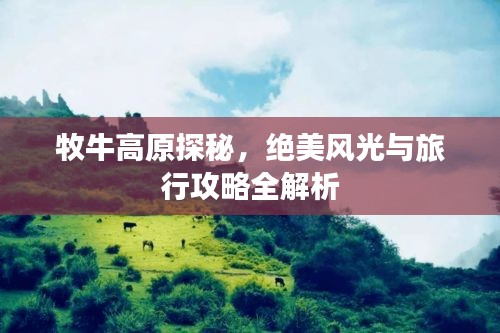 牧牛高原探秘，绝美风光与旅行攻略全解析