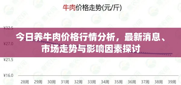 今日养牛肉价格行情分析，最新消息、市场走势与影响因素探讨