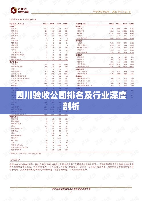 四川验收公司排名及行业深度剖析