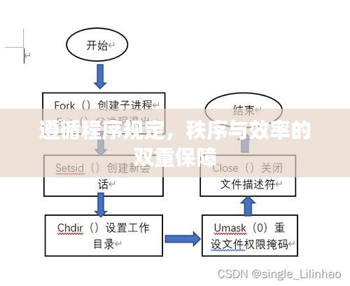 遵循程序规定，秩序与效率的双重保障