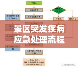 景区突发疾病应急处理流程详解