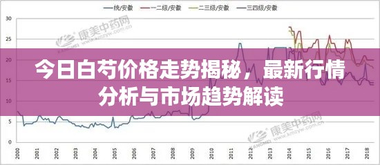 今日白芍价格走势揭秘，最新行情分析与市场趋势解读