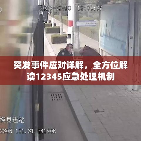 突发事件应对详解，全方位解读12345应急处理机制