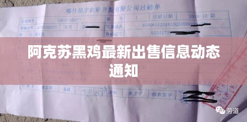 阿克苏黑鸡最新出售信息动态通知