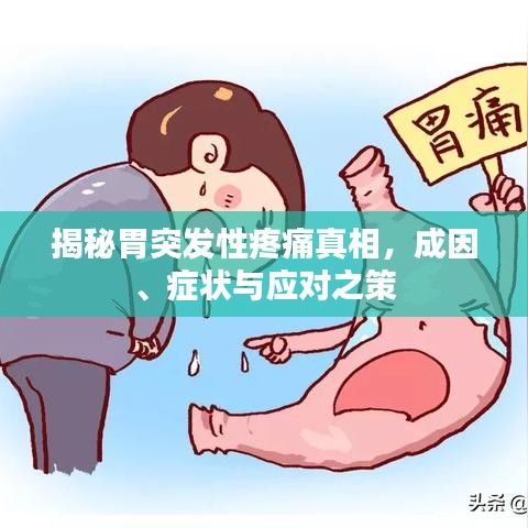 揭秘胃突发性疼痛真相，成因、症状与应对之策