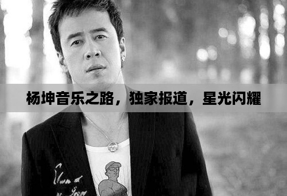 杨坤音乐之路，独家报道，星光闪耀