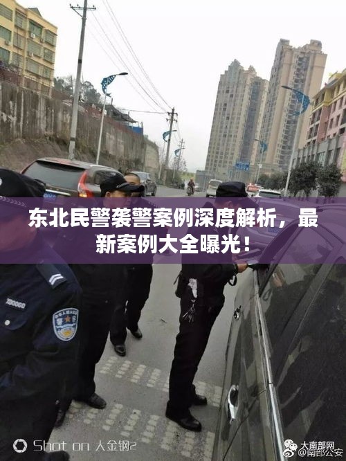 东北民警袭警案例深度解析，最新案例大全曝光！