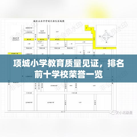 项城小学教育质量见证，排名前十学校荣誉一览