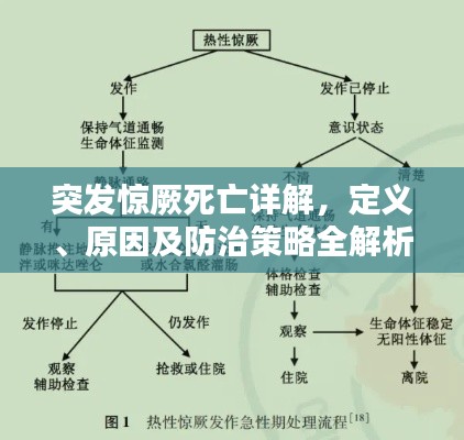 突发惊厥死亡详解，定义、原因及防治策略全解析