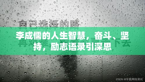 李成儒的人生智慧，奋斗、坚持，励志语录引深思