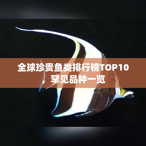 全球珍贵鱼类排行榜TOP10，罕见品种一览