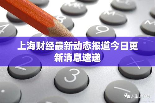 上海财经最新动态报道今日更新消息速递