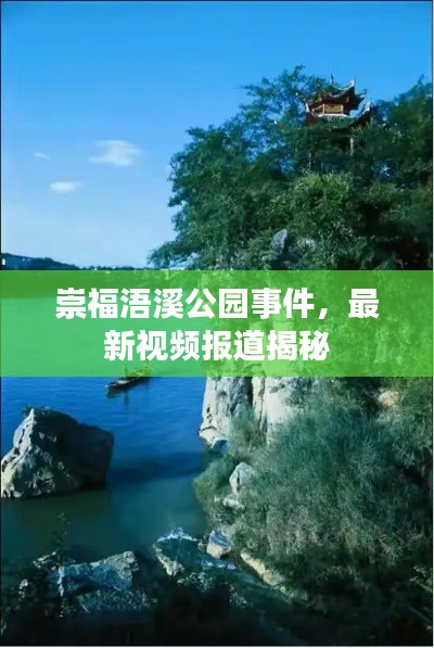 崇福浯溪公园事件，最新视频报道揭秘