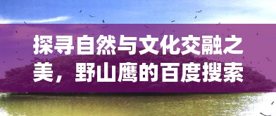 探寻自然与文化交融之美，野山鹰的百度搜索之旅