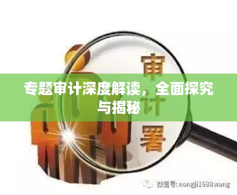 专题审计深度解读，全面探究与揭秘