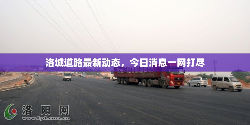 洛城道路最新动态，今日消息一网打尽