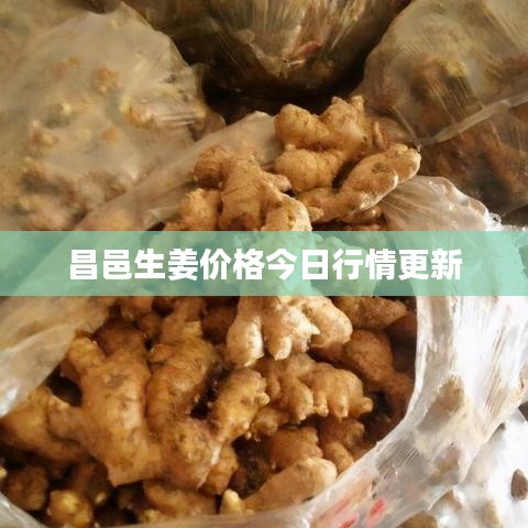 昌邑生姜价格今日行情更新