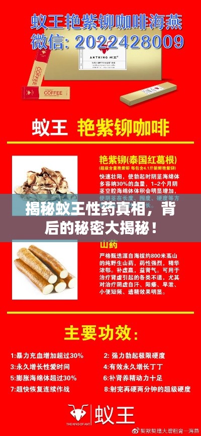 揭秘蚁王性药真相，背后的秘密大揭秘！