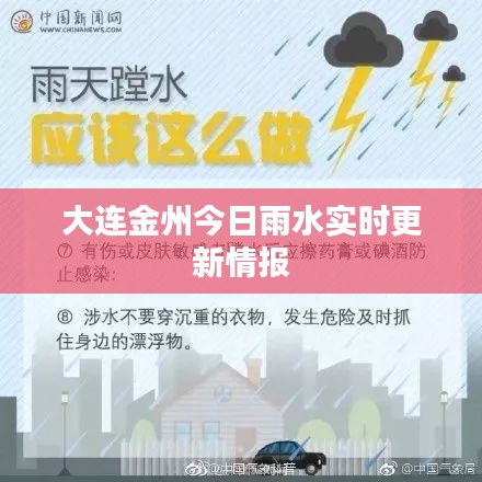 大连金州今日雨水实时更新情报